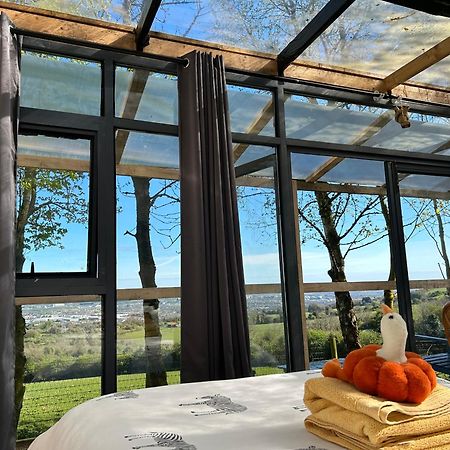 Sky Gazer Cabin In The Woods Дублин Экстерьер фото